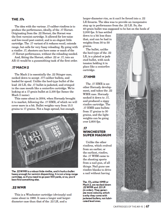 Cartridges of the AR-15: A Complete Guide To AR-15 And AR-10 Ammo - Image 3