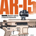 AR-15 books