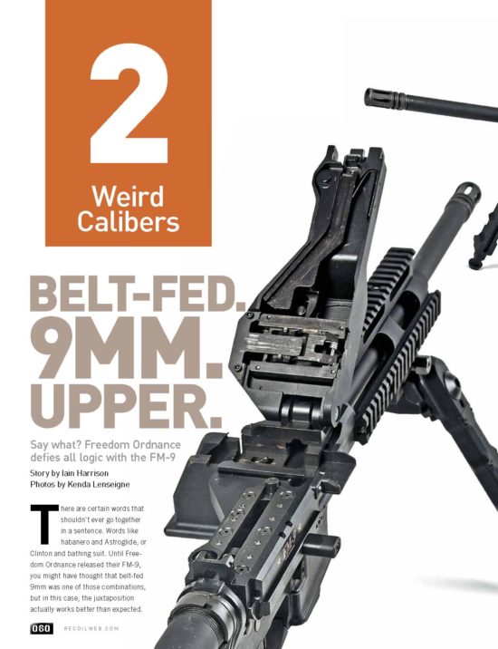 AR-15: RECOIL Magazine’s Collection of Unique and Exceptional ARs - Image 3