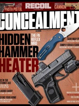 Concealment No 33 Cover