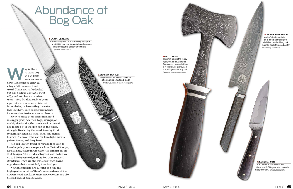 The best kitchen knives and chef's knives for 2024