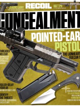 Concealment 34 Cover