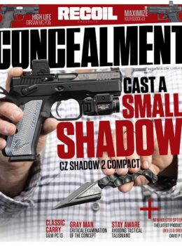 Concealment 36 Cover