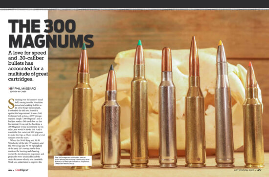 Ammo Information